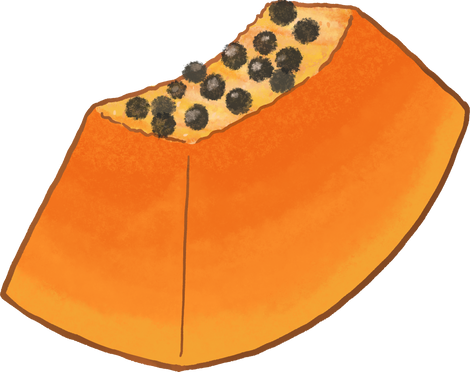 202211116_Diced papaya with seeds 01