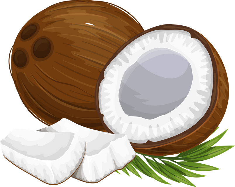 Pieces of Coconut