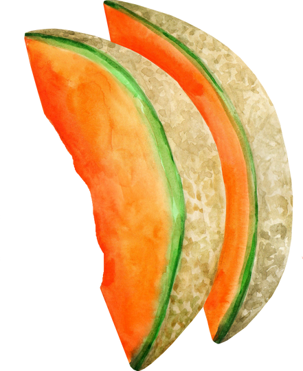 Watercolor Melon Fruit Slice Illustration