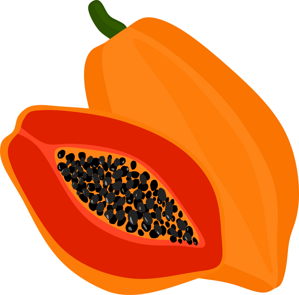 ripe papaya illustration