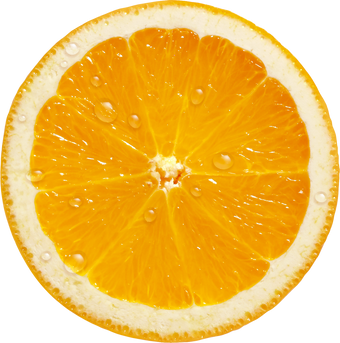 Orange Slice