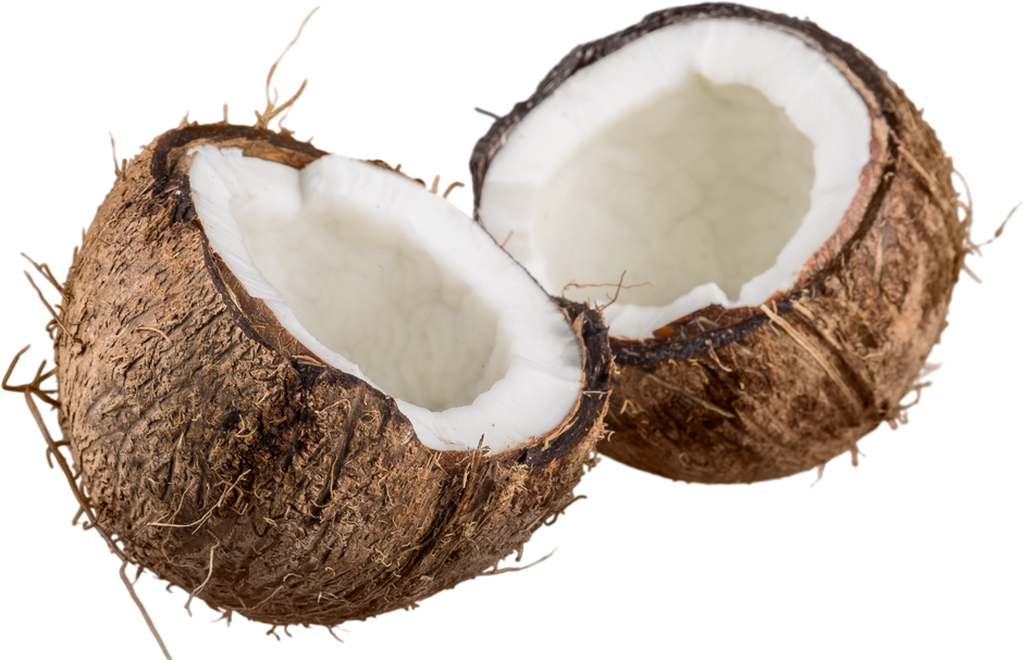 Opened Coconut Fruit
